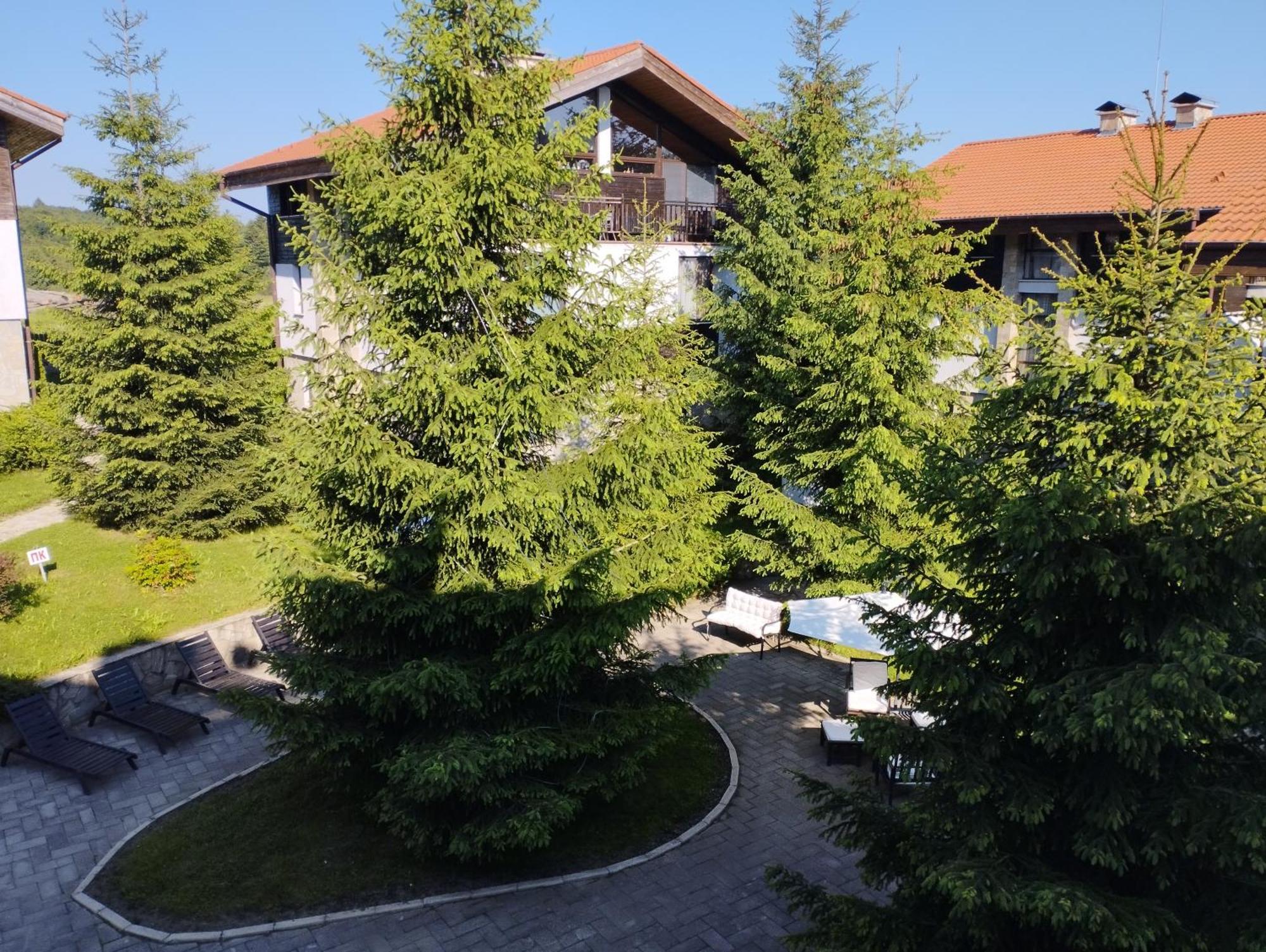 Chamkoria Chalets بوروفتس المظهر الخارجي الصورة